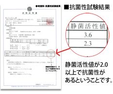 抗菌性試験結果